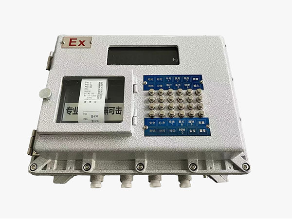 防爆数字称重显示器（SH8D）